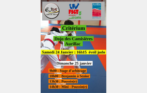Critérium Judo : mini poussin à senior